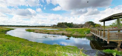 Myakka State Forest | WaterMatters.org