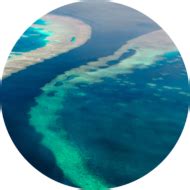 Great Barrier Reef - Bioplatforms