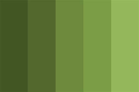 Shades Of Olive Green Color Palette | 색, 컬러 보드, 올리브