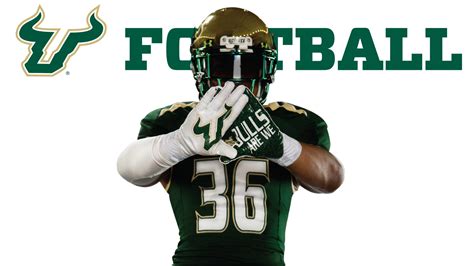 Usf Bulls Wallpaper (62+ images)