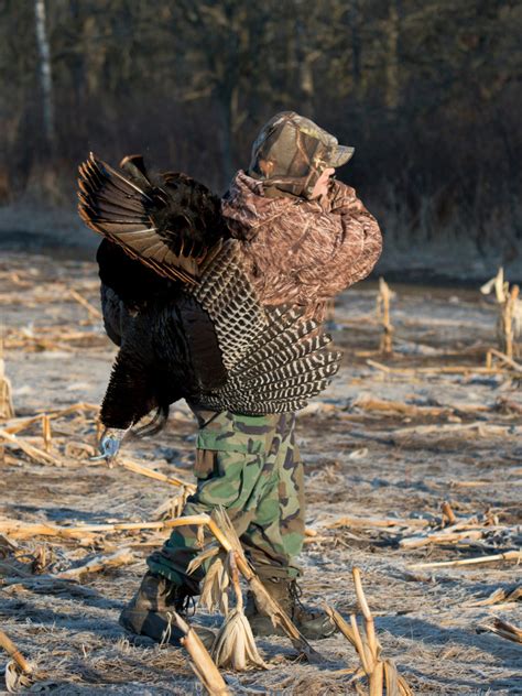 Turkey Hunting – Tussock Bay