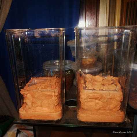 Formicarium DIY Try #1 - General Ant Keeping - Ants & Myrmecology Forum