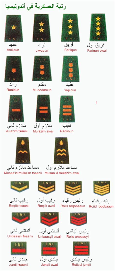 Stratification According to Rank