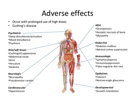 Effect of Steroid in human ~ akufisio.blogspot