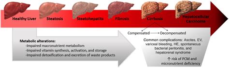 Micronutrients in Liver Disease: Roles, Risk Factors for Deficiency ...