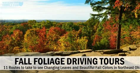 Fall Foliage Driving Tours in Northeast Ohio