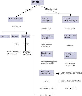 Materi Kelas X: Peta Konsep Bakteri