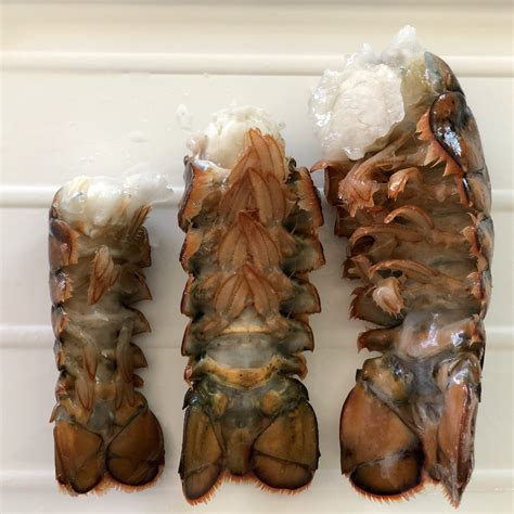 Frozen Lobster Tails - Royal Hawaiian Seafood