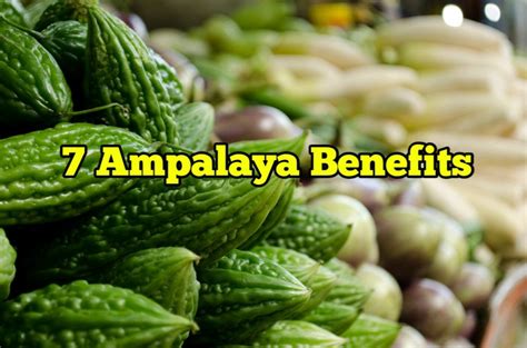 7 Ampalaya Benefits - Rockets Garden