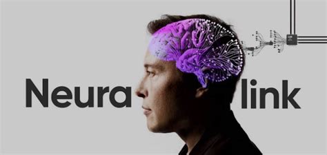 Neuralink : Elon Musk prêt à implanter des puces dans le cerveau humain d'ici 6 mois