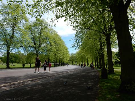 The 10 best picnic spots in London - Adventures of a London Kiwi
