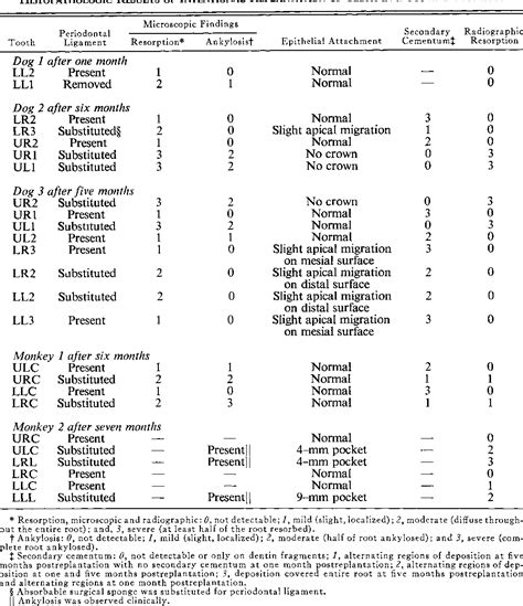 Table 1 from Intentional Replantation of Teeth in Dogs and Monkeys | Semantic Scholar