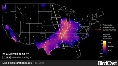 Feathered forecast: Tech tools comb weather data for bird migrations