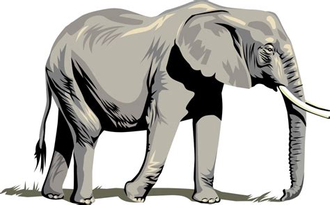 Elephant Vector - Cliparts.co