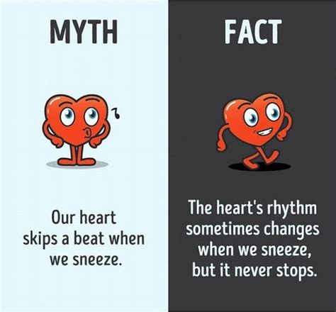 I've Always Believed These Facts to Be True... | Psychology fun facts ...