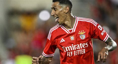 JOGO DO BENFICA EM DIRETO: Veja ONDE VAI DAR BENFICA VS ESTRELA AMADORA ...