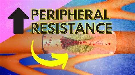 055 Regulating Peripheral Resistance - Part 1 - YouTube