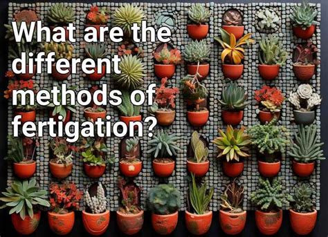 What are the different methods of fertigation? – Gardening.Gov.Capital