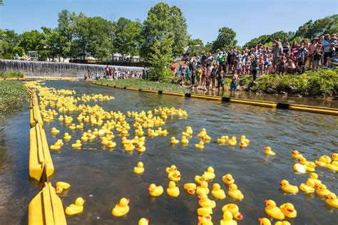 Buck Creek Festival's famous duck race to return May 11 - Shelby County ...