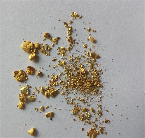 Alluvial gold from Creswick in west-central Victoria, Australia. | Gold prospecting, Gold ...