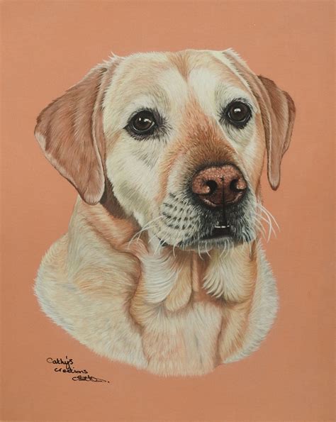 Ted the Yellow Labrador greetings card | mysite | Yellow labrador, Hand art drawing, Labrador