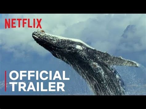 10 Best Adventure Movies On Netflix 2020 | LaptrinhX / News