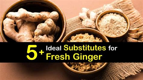 What Can You Use Instead of Fresh Ginger