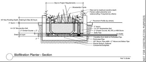 Biofiltration Planter Section Diagram
