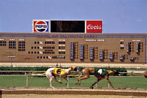 Greyhound Racing - Encyclopedia of Arkansas