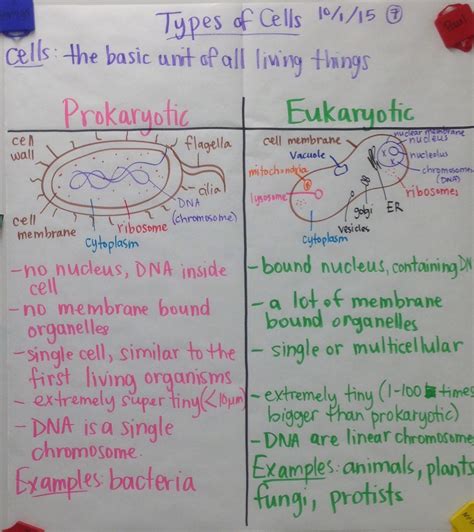 Scientific Gladiators: Chart Examples - Biology by Mrs. Paul