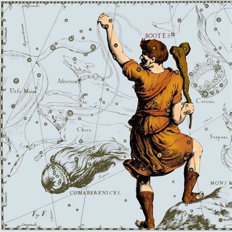 Bootes Constellation 1687 Poster Print by Science Source (36 x 24)-in Plaques & Signs from Home ...