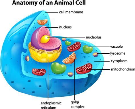 How Does DNA Copy Itself? Educational Resources K12 Learning, Life Science, Science Lesson Plans ...