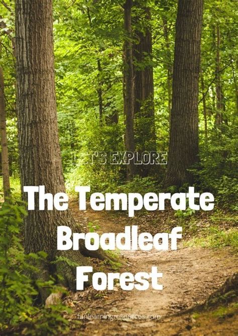 Let’s Explore The Temperate Broadleaf Forest Learning Journal - Fun Learning Resources