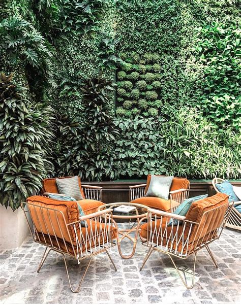 Brown Wooden Armchairs and Green Plants · Free Stock Photo