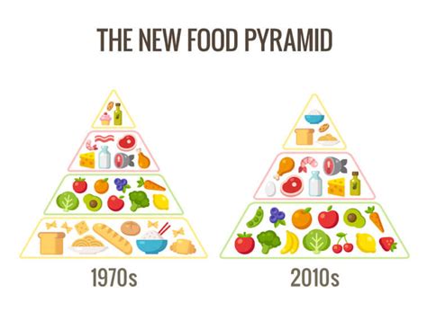 The Old Food Pyramid is Outdated - Natural Wire