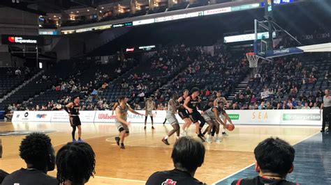 Final 8 basketball championships tip off in Halifax | CTV News