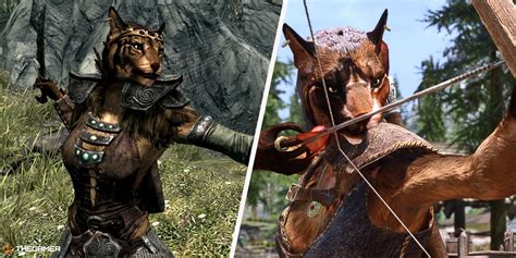 What side would a Khajiit choose? – Fabalabse