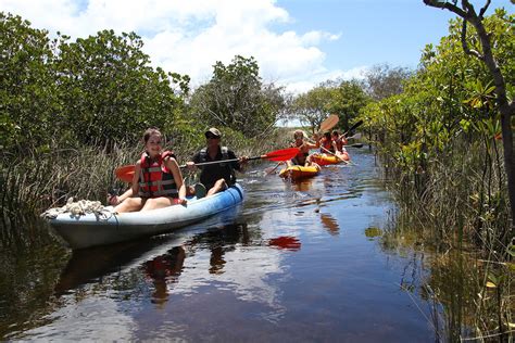 Fraser Island National Park Discovery Tour - Full Day - Adrenaline