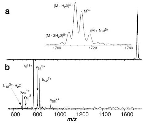 Unimolecular reaction kinetics in the high-pressure limit without ...