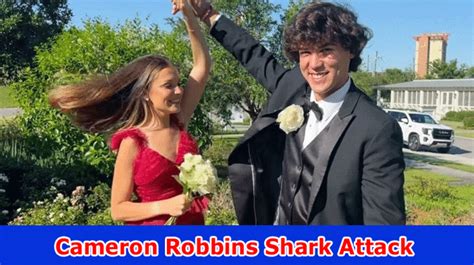 [Update] Cameron Robbins Shark Attack: For what reason Did Cameron Robbins Bounce? Check All ...