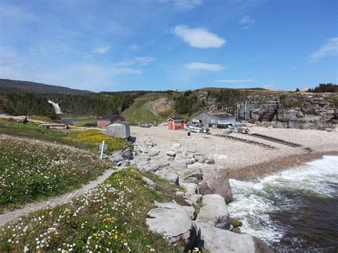 Newfoundland Tourist Information: Stephenville Area Trails