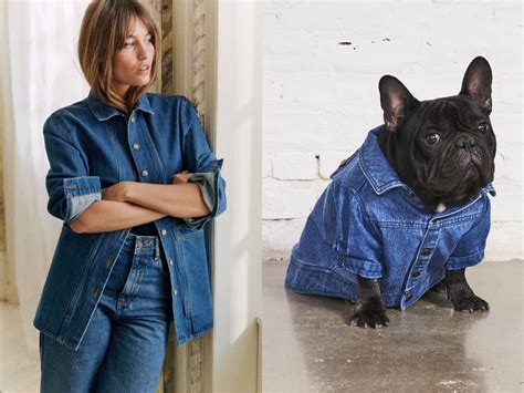 12 Stylish Matching Dog and Human Outfits · The Wildest