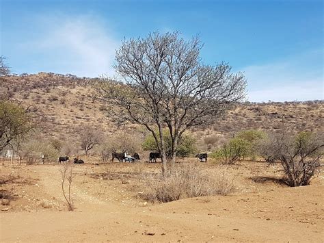 THE 10 BEST Things to Do in Windhoek - 2022 (with Photos) - Tripadvisor