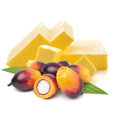 Hydrogenated Palm Kernel Oil - Elburg Global