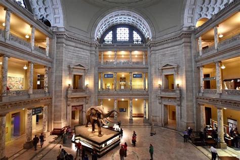 20 Awesome Free Things to do in Washington DC | National museum ...