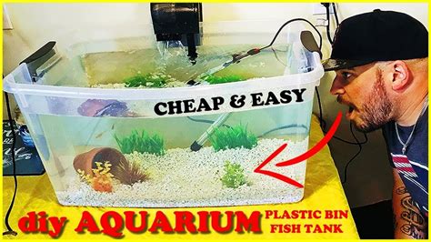 HOMEMADE AQUARIUM! DIY PLASTIC BIN FISH TANK SETUP - YouTube