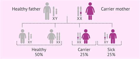 Fragile X syndrome inheritance