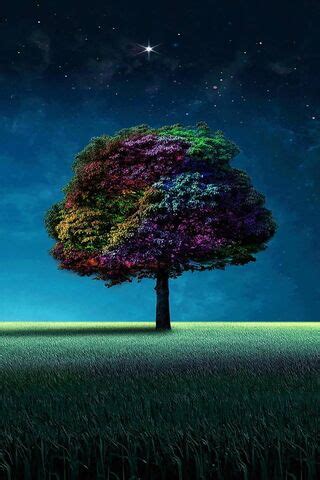 Rainbow Tree Wallpaper - Download to your mobile from PHONEKY