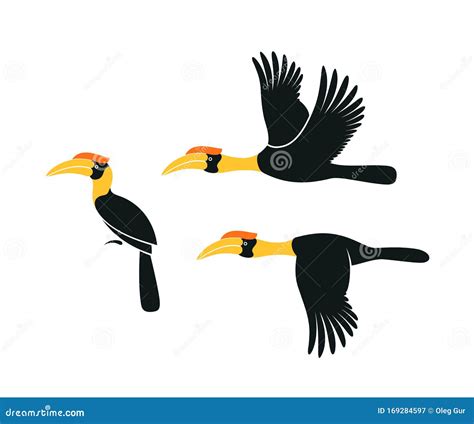 Cartoon Hornbill Flying | CartoonDealer.com #26191069