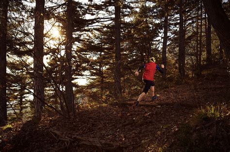 Trail Running - Wooden Playground | Behance